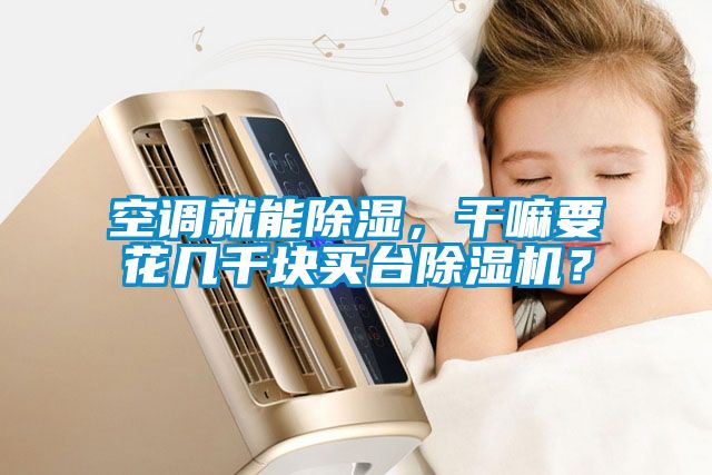 空調(diào)就能除濕，干嘛要花幾千塊買臺除濕機？