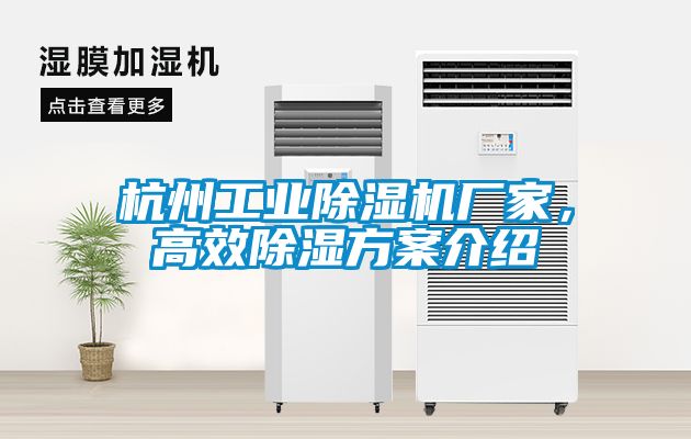 杭州工業(yè)除濕機(jī)廠家，高效除濕方案介紹