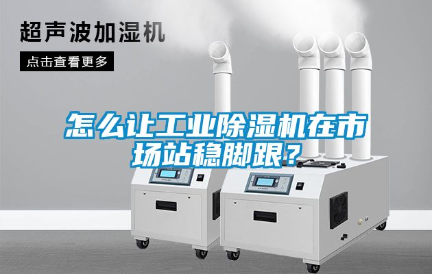 怎么讓工業(yè)除濕機在市場站穩(wěn)腳跟?