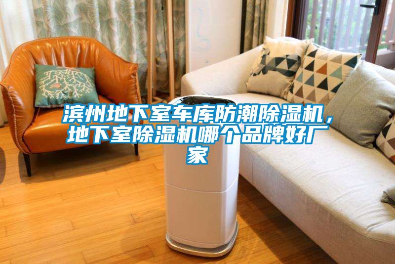 濱州地下室車庫防潮除濕機(jī)，地下室除濕機(jī)哪個(gè)品牌好廠家