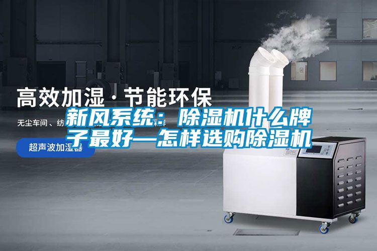 新風(fēng)系統(tǒng):除濕機(jī)什么牌子最好—怎樣選購(gòu)除濕機(jī)
