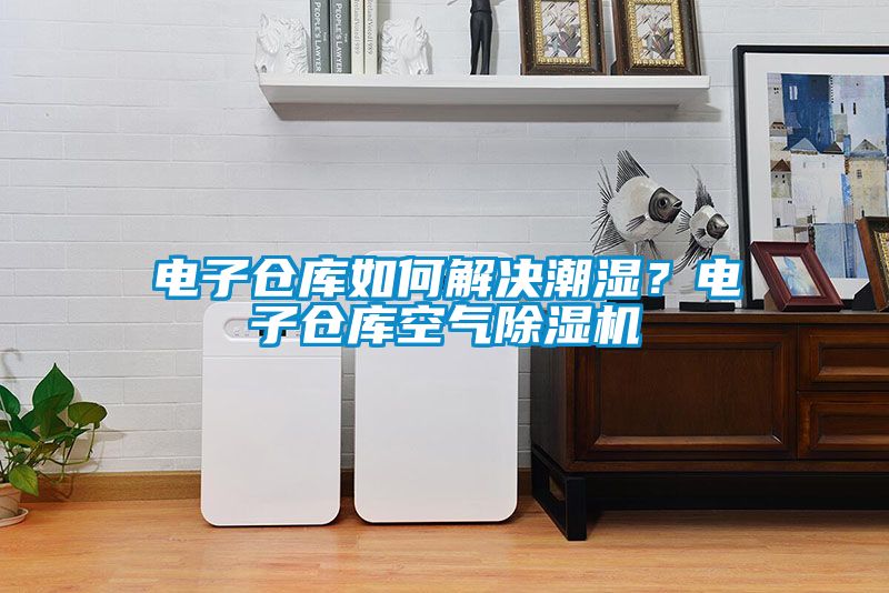 電子倉(cāng)庫(kù)如何解決潮濕？電子倉(cāng)庫(kù)空氣除濕機(jī)