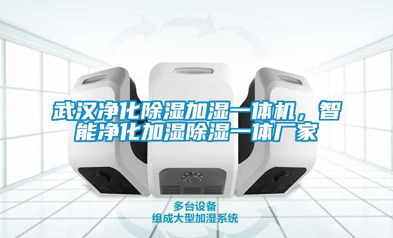 武漢凈化除濕加濕一體機(jī)，智能凈化加濕除濕一體廠家
