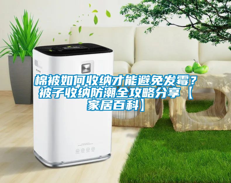 棉被如何收納才能避免發(fā)霉？被子收納防潮全攻略分享【家居百科】