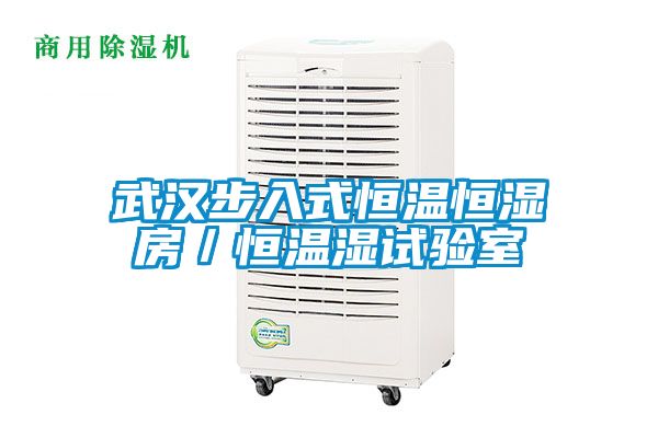 武漢步入式恒溫恒濕房/恒溫濕試驗(yàn)室