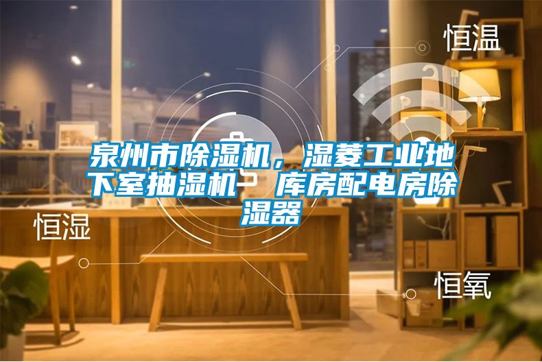 泉州市除濕機，濕菱工業(yè)地下室抽濕機  庫房配電房除濕器