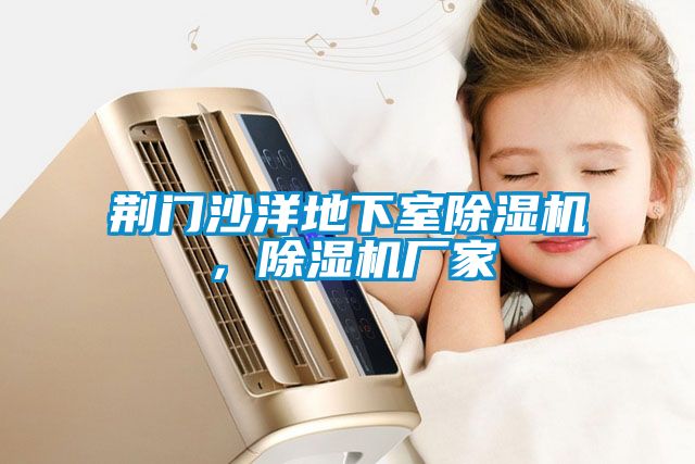 荊門沙洋地下室除濕機(jī)，除濕機(jī)廠家
