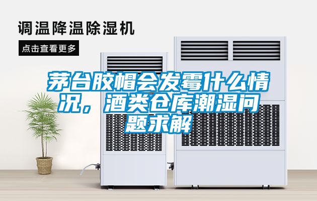 茅臺(tái)膠帽會(huì)發(fā)霉什么情況，酒類(lèi)倉(cāng)庫(kù)潮濕問(wèn)題求解