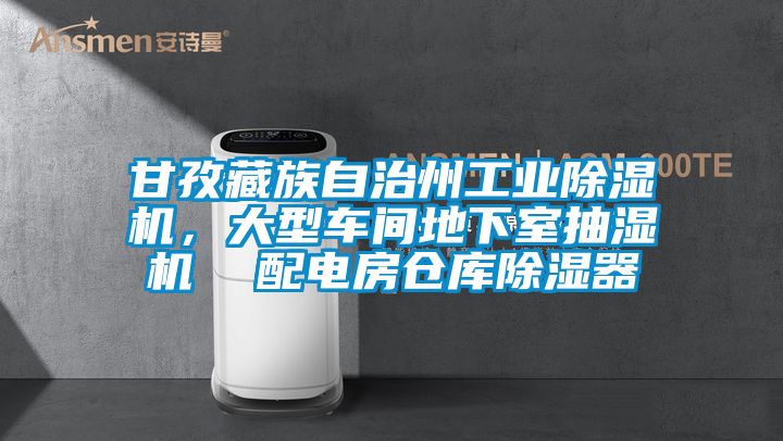 甘孜藏族自治州工業(yè)除濕機(jī)，大型車間地下室抽濕機(jī)  配電房倉庫除濕器