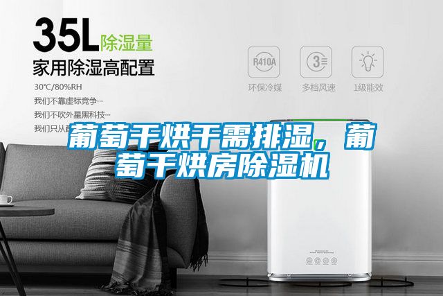 葡萄干烘干需排濕，葡萄干烘房除濕機