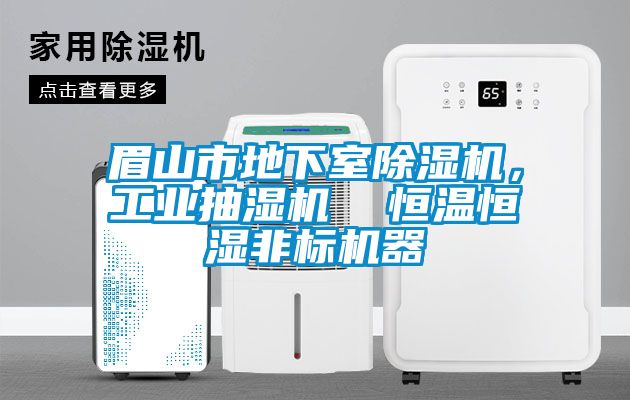 眉山市地下室除濕機(jī)，工業(yè)抽濕機(jī)  恒溫恒濕非標(biāo)機(jī)器