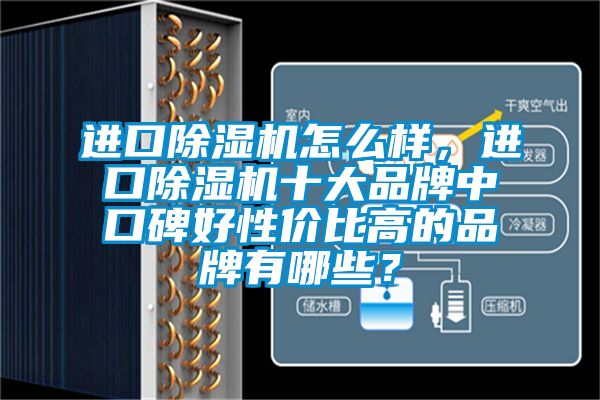 進(jìn)口除濕機(jī)怎么樣，進(jìn)口除濕機(jī)十大品牌中口碑好性價(jià)比高的品牌有哪些？