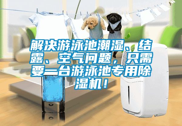 解決游泳池潮濕、結露、空氣問題，只需要一臺游泳池專用除濕機！