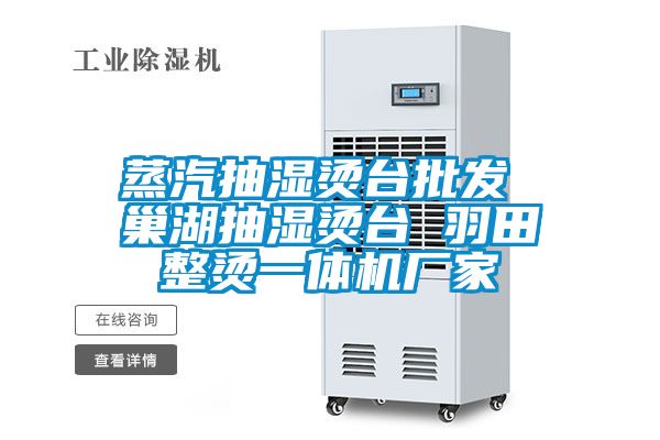 蒸汽抽濕燙臺(tái)批發(fā) 巢湖抽濕燙臺(tái) 羽田整燙一體機(jī)廠(chǎng)家