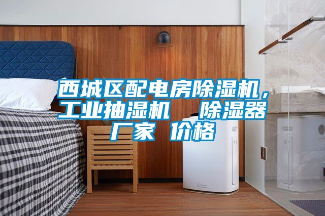 西城區(qū)配電房除濕機(jī)，工業(yè)抽濕機(jī)  除濕器廠家 價格