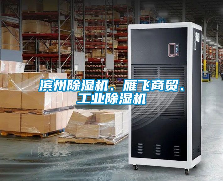 濱州除濕機(jī)、雁飛商貿(mào)、工業(yè)除濕機(jī)