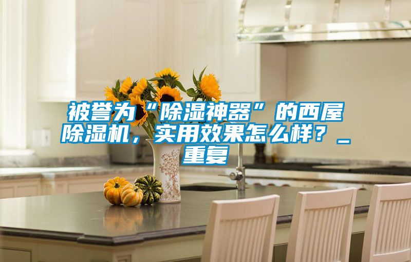 被譽(yù)為“除濕神器”的西屋除濕機(jī)，實(shí)用效果怎么樣？_重復(fù)