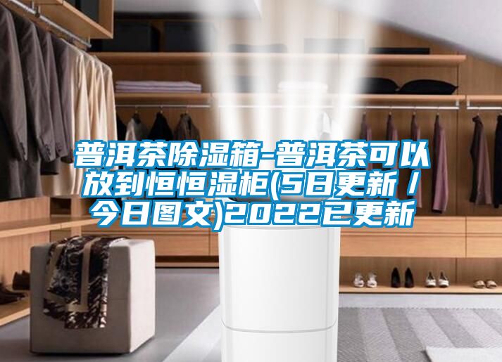 普洱茶除濕箱-普洱茶可以放到恒恒濕柜(5日更新/今日圖文)2022已更新