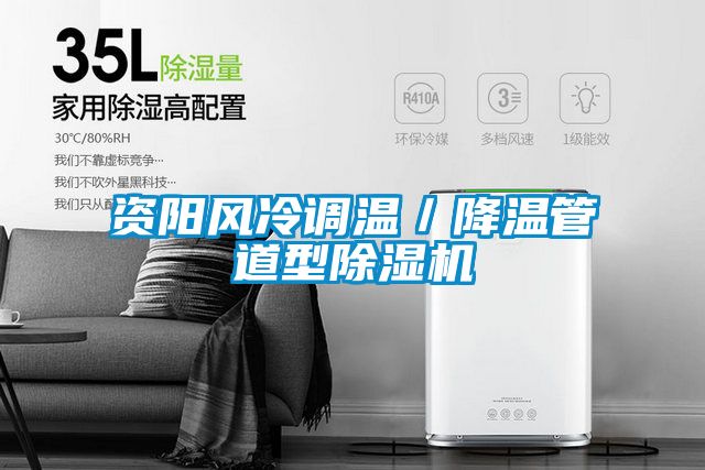資陽風(fēng)冷調(diào)溫/降溫管道型除濕機(jī)