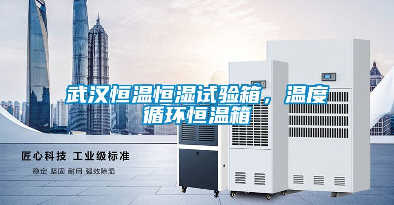 武漢恒溫恒濕試驗箱，溫度循環(huán)恒溫箱
