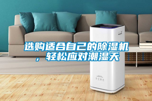 選購適合自己的除濕機，輕松應(yīng)對潮濕天