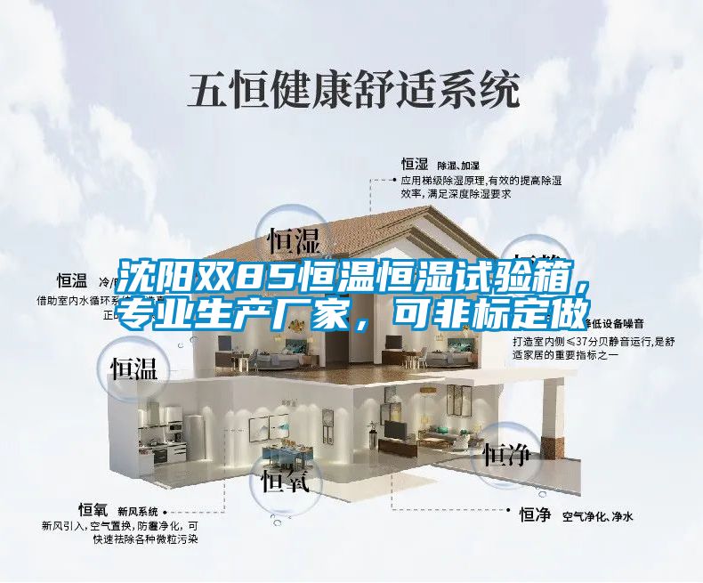 沈陽雙85恒溫恒濕試驗(yàn)箱，專業(yè)生產(chǎn)廠家，可非標(biāo)定做