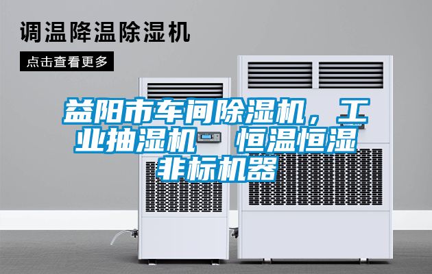 益陽(yáng)市車間除濕機(jī)，工業(yè)抽濕機(jī)  恒溫恒濕非標(biāo)機(jī)器