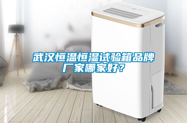 武漢恒溫恒濕試驗箱品牌廠家哪家好？