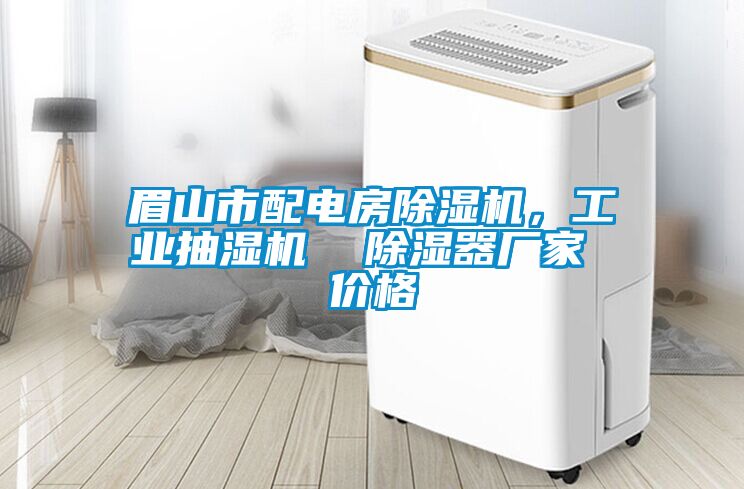 眉山市配電房除濕機，工業(yè)抽濕機  除濕器廠家 價格