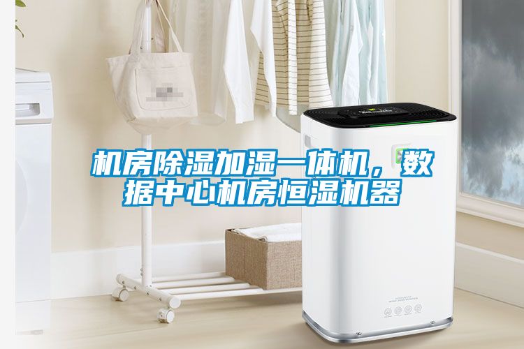 機房除濕加濕一體機，數(shù)據(jù)中心機房恒濕機器