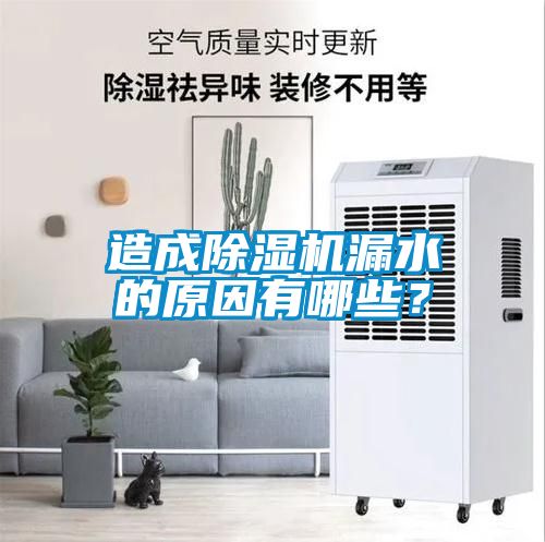 造成除濕機(jī)漏水的原因有哪些？