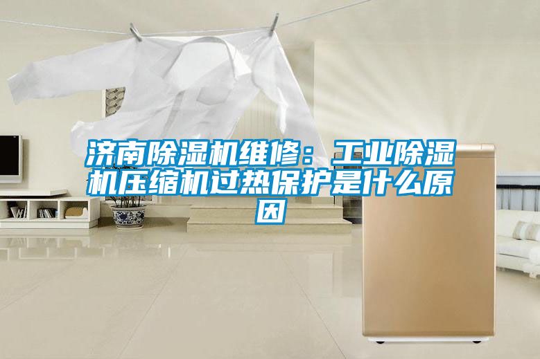 濟(jì)南除濕機(jī)維修:工業(yè)除濕機(jī)壓縮機(jī)過(guò)熱保護(hù)是什么原因