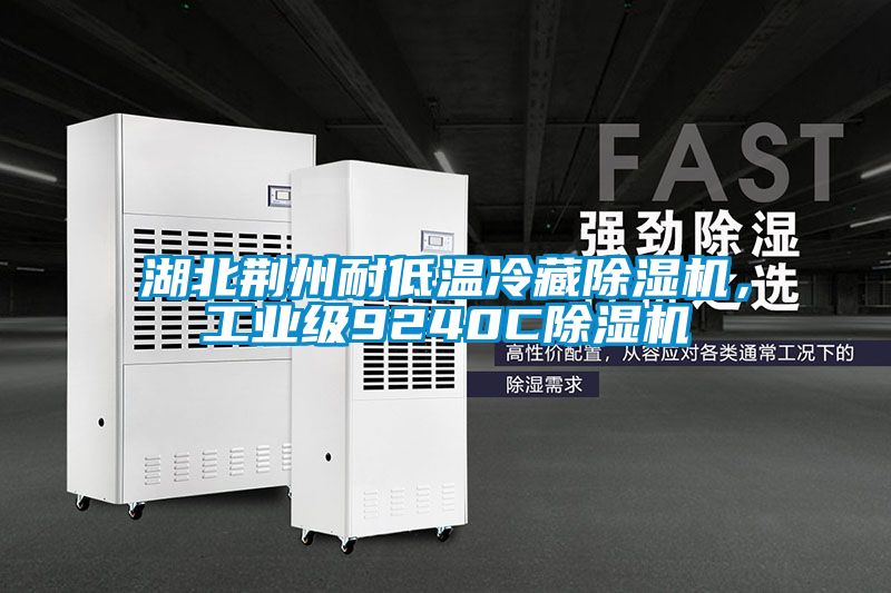 湖北荊州耐低溫冷藏除濕機(jī)，工業(yè)級9240C除濕機(jī)