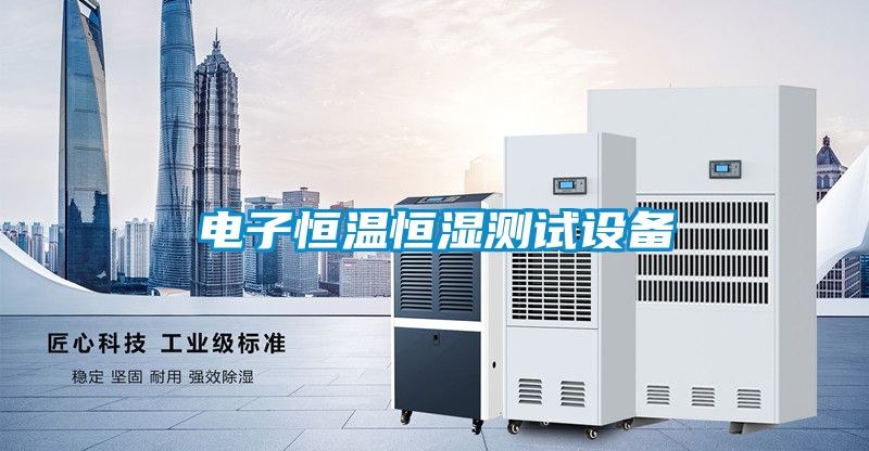 電子恒溫恒濕測試設(shè)備