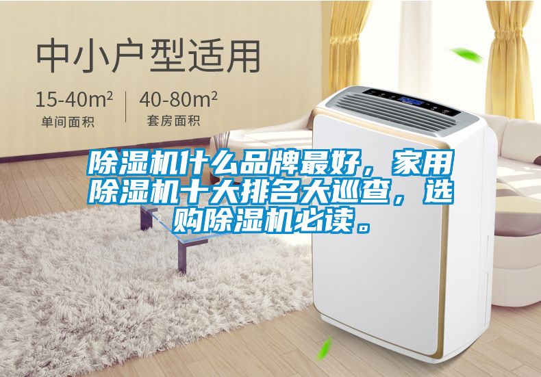除濕機(jī)什么品牌最好，家用除濕機(jī)十大排名大巡查，選購除濕機(jī)必讀。