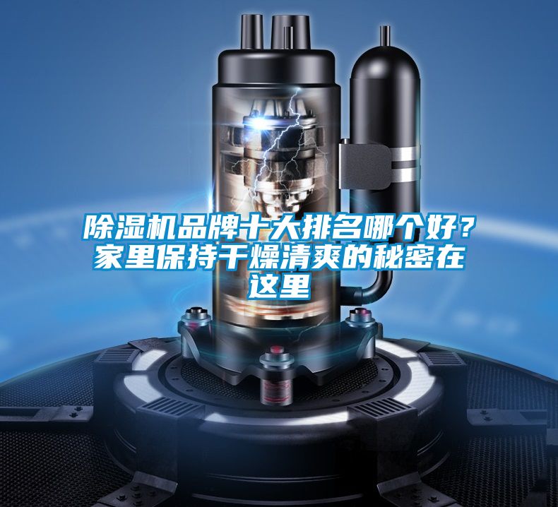 除濕機(jī)品牌十大排名哪個好？家里保持干燥清爽的秘密在這里