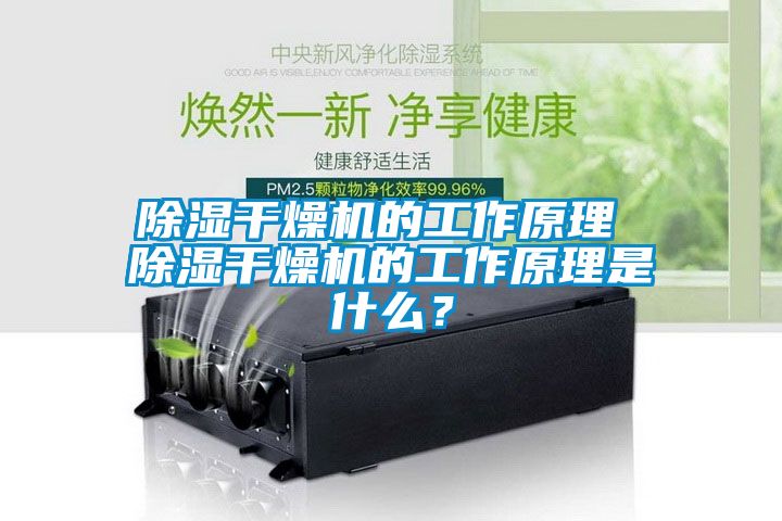 除濕干燥機(jī)的工作原理 除濕干燥機(jī)的工作原理是什么？