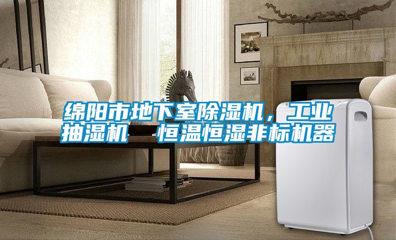 綿陽(yáng)市地下室除濕機(jī)，工業(yè)抽濕機(jī)  恒溫恒濕非標(biāo)機(jī)器