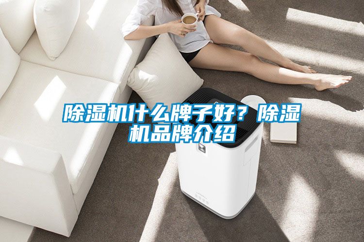 除濕機(jī)什么牌子好?除濕機(jī)品牌介紹