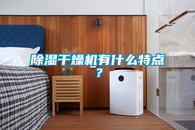 除濕干燥機(jī)有什么特點(diǎn)？