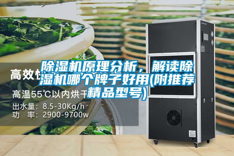 除濕機(jī)原理分析，解讀除濕機(jī)哪個(gè)牌子好用(附推薦精品型號(hào))