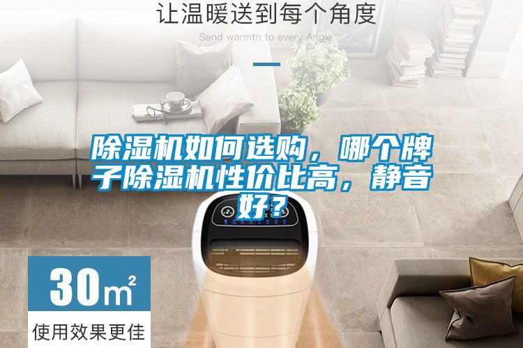 除濕機(jī)如何選購(gòu)，哪個(gè)牌子除濕機(jī)性價(jià)比高，靜音好？