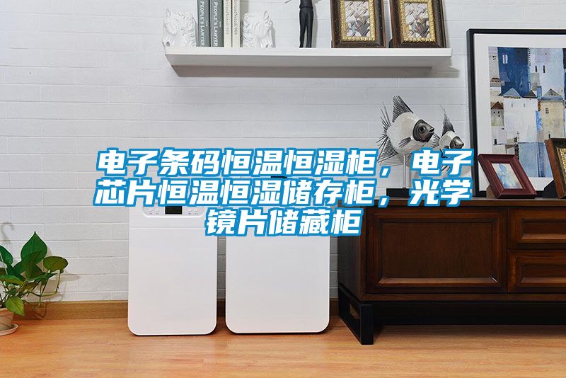 電子條碼恒溫恒濕柜，電子芯片恒溫恒濕儲(chǔ)存柜，光學(xué)鏡片儲(chǔ)藏柜