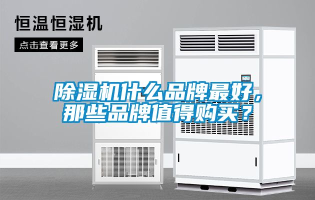 除濕機(jī)什么品牌最好，那些品牌值得購買？