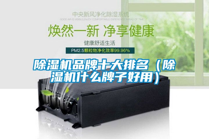 除濕機品牌十大排名(除濕機什么牌子好用)