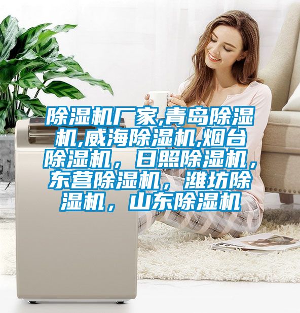 除濕機(jī)廠家,青島除濕機(jī),威海除濕機(jī),煙臺(tái)除濕機(jī)，日照除濕機(jī)，東營(yíng)除濕機(jī)，濰坊除濕機(jī)，山東除濕機(jī)