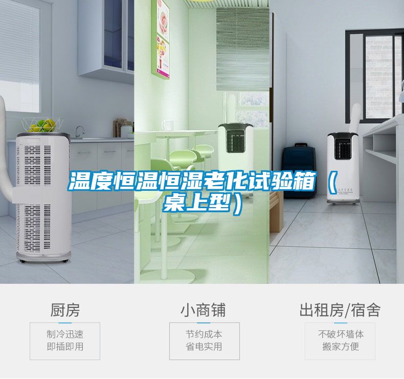 溫度恒溫恒濕老化試驗箱(桌上型)