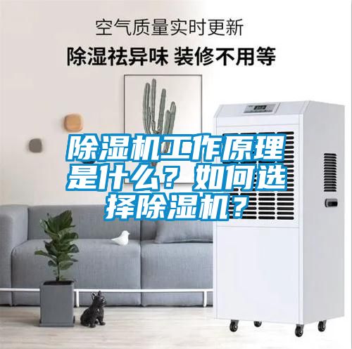 除濕機(jī)工作原理是什么？如何選擇除濕機(jī)？