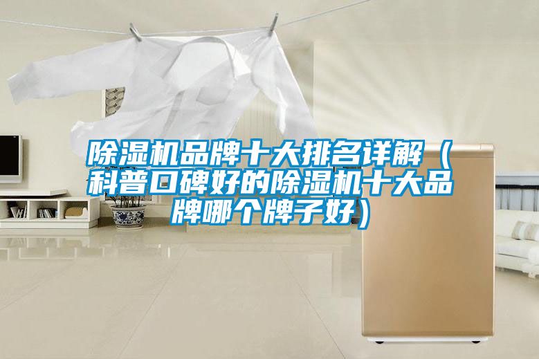 除濕機(jī)品牌十大排名詳解(科普口碑好的除濕機(jī)十大品牌哪個(gè)牌子好)