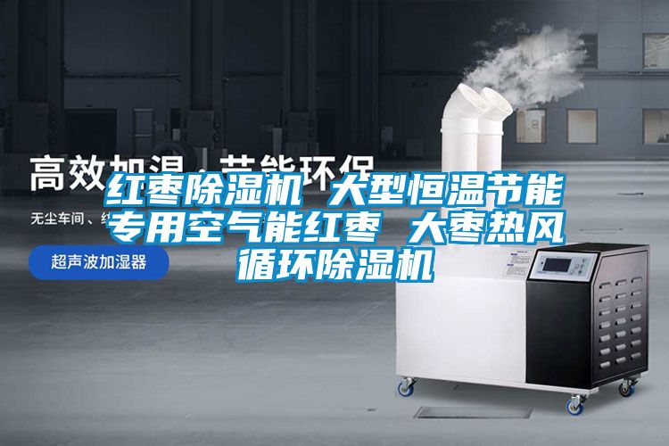 紅棗除濕機(jī) 大型恒溫節(jié)能專用空氣能紅棗 大棗熱風(fēng)循環(huán)除濕機(jī)